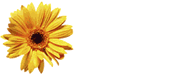 gif animé merci tournesol